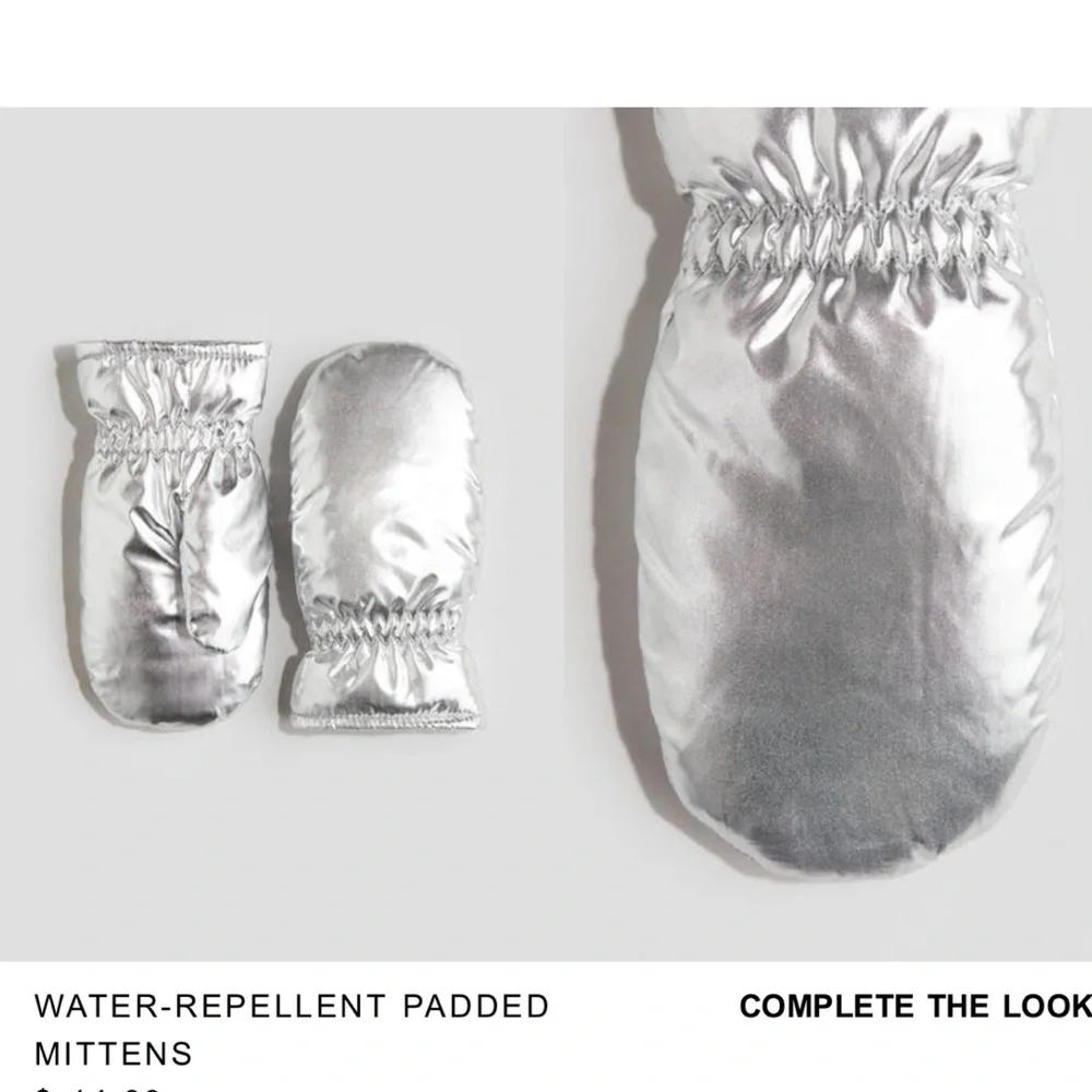 Silver Water-Repellent Padded Mittens 2T Worn Once Perfect Condition